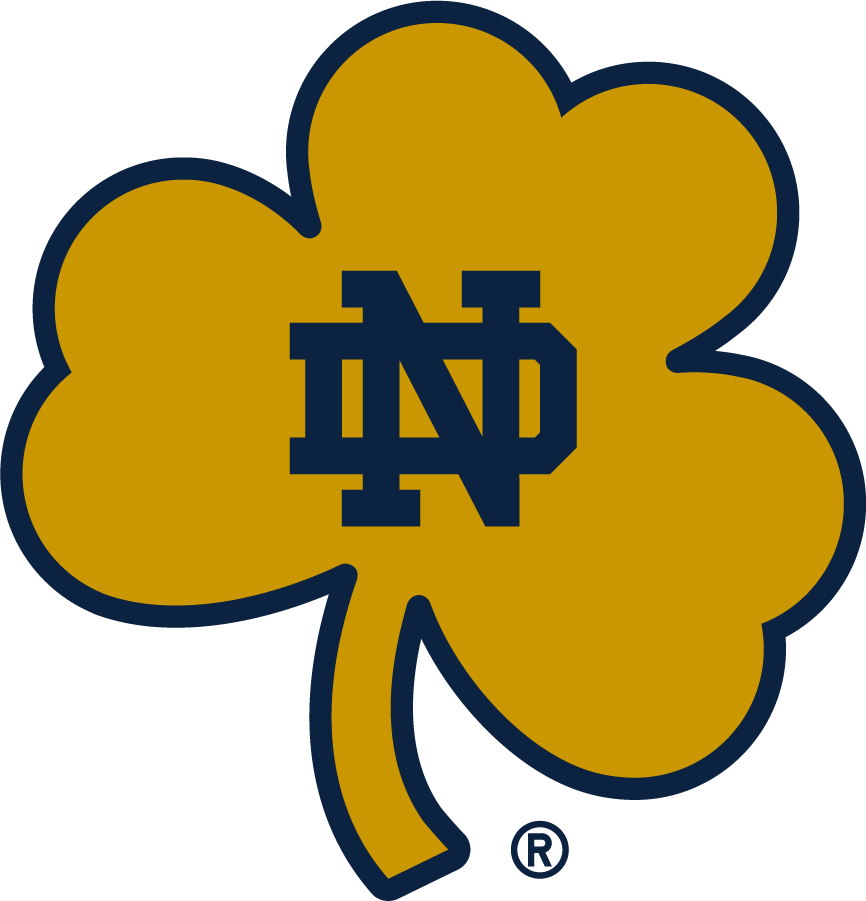 Notre Dame Fighting Irish 2015-Pres Secondary Logo v2 iron on transfers for T-shirts